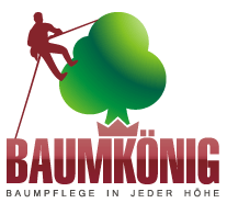 Baumpflege im Münchner Süden